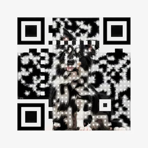 Black and white border collie on a bright studio background as QR artwork